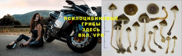 мдпв Баксан